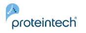 Proteintech logo